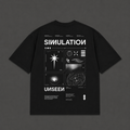 Simulation Unseen