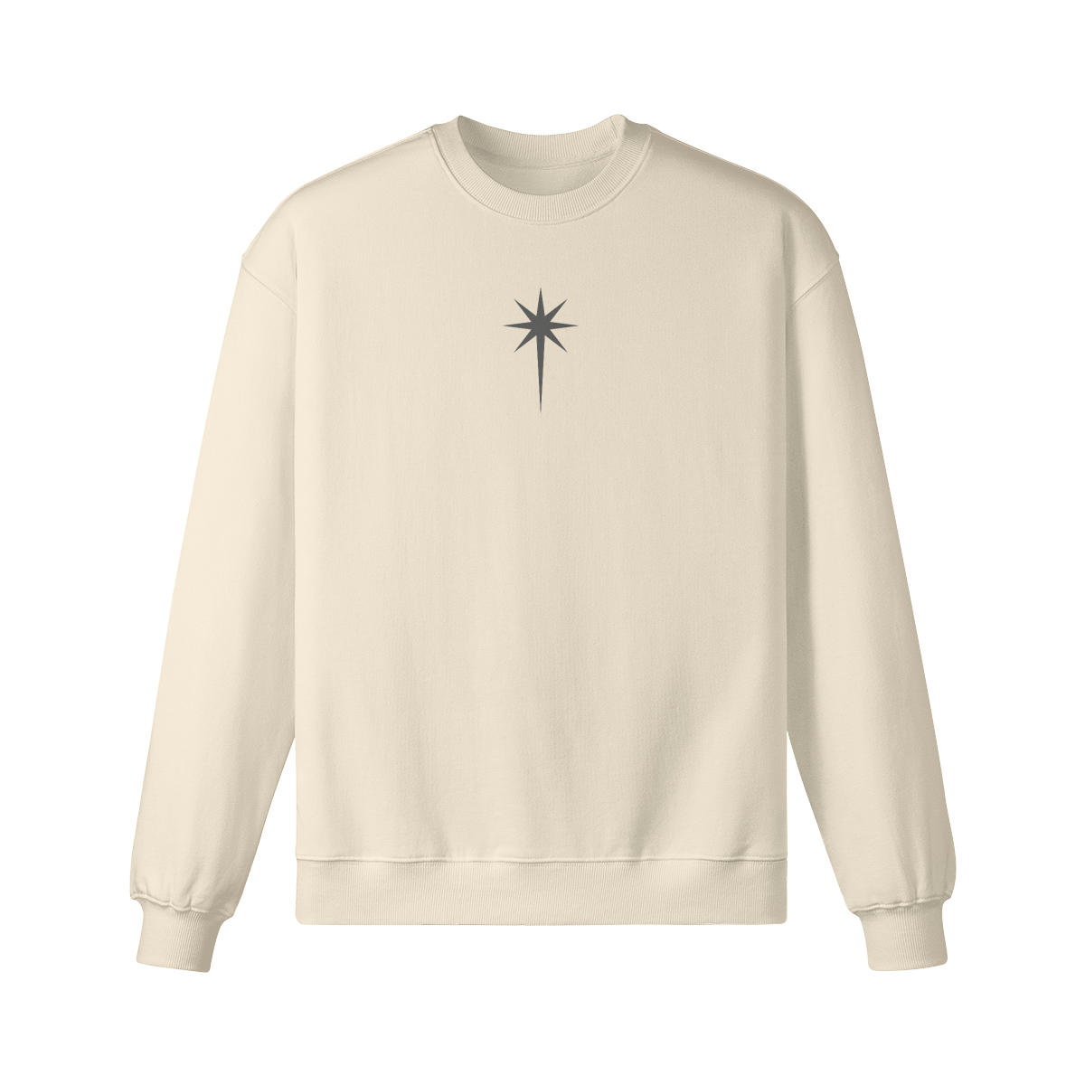 Globe sign sweatshirt